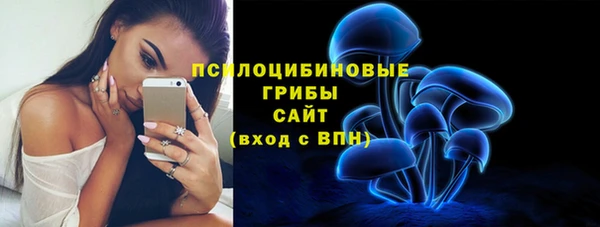 круглые Белокуриха