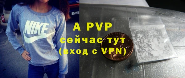 мдпв Богданович