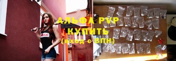 круглые Белокуриха
