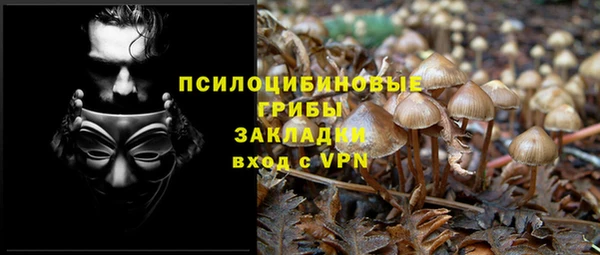 MDMA Богородск